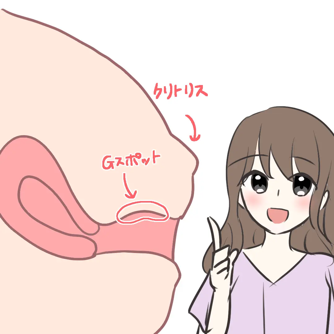 膣の断面のイメージ図。クリトリスとGスポットの位置の目安を示している